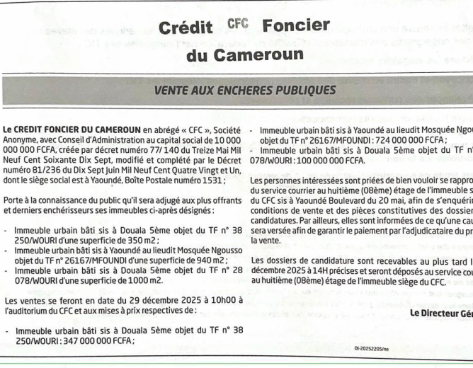 Crédit Foncier du Cameroun : Vente aux enchères publiques à Douala 5e